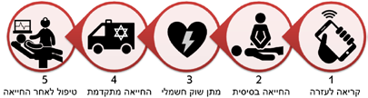 שרשרת ההישרדות - חמש החוליות
